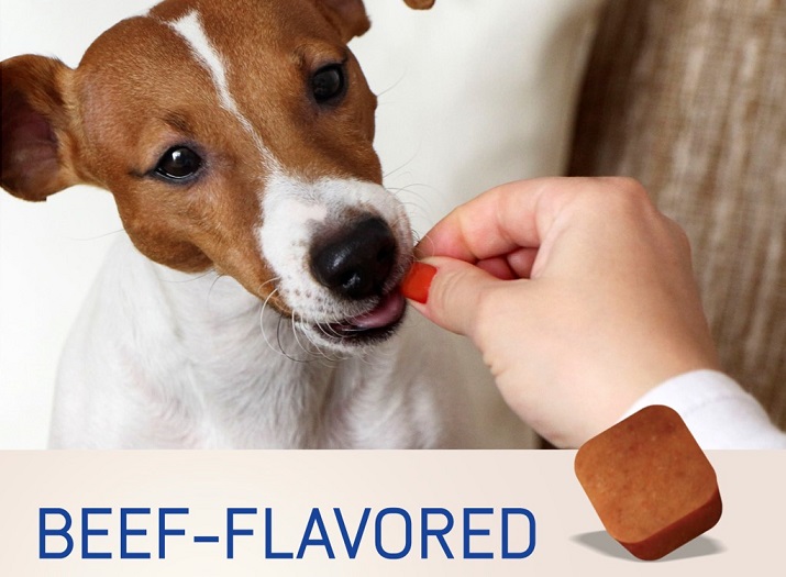 Beef-Flavoured Chew